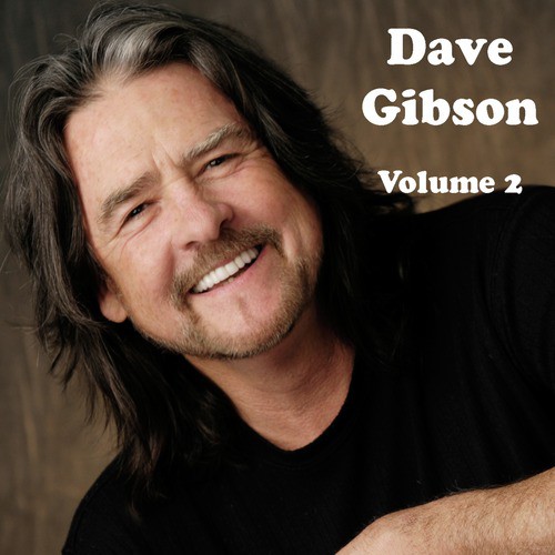 Dave Gibson Volume 2_poster_image