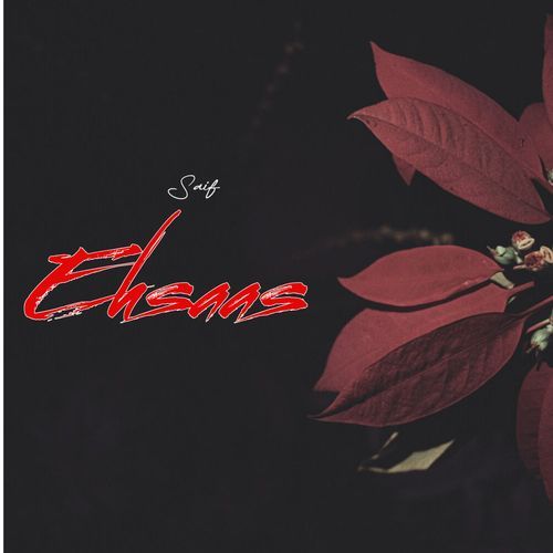 Ehsaas
