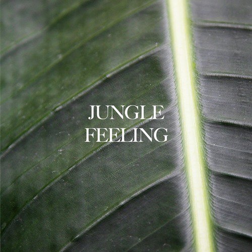 Jungle Feeling
