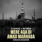 Mere Aqa Di Amad Marhaba (Lofi-Mix)