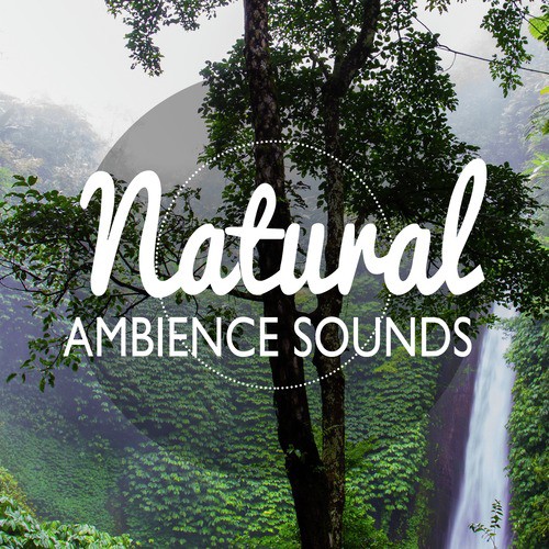 Natural Ambience Sounds_poster_image