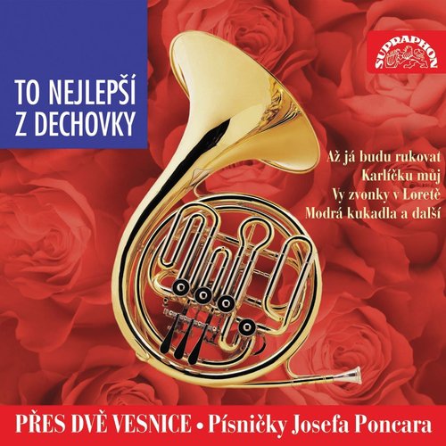 Až Já Budu Rukovat cover art