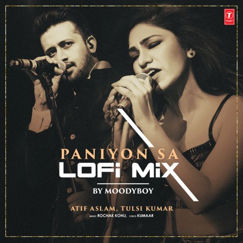 Paniyon Sa Lofi Mix(Remix By Moodyboy)