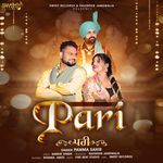 Pari