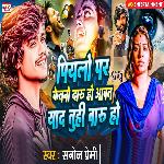 Piyalo Par Ketno Daru Ho Aawat Yaad Tuhi Baru Ho