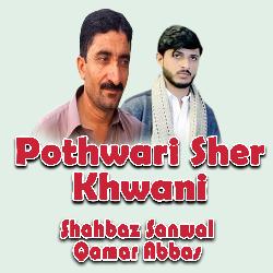 Pothwari Sher Khwani-CTodeSdSGl8