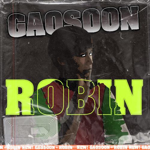 Robin cover art