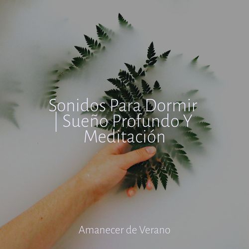 La Danza de la Victoria de la Llama cover art