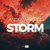 Storm (Extended Version)