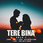 Tere Bina