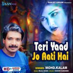 Teri Yaad Jo Aati Hai