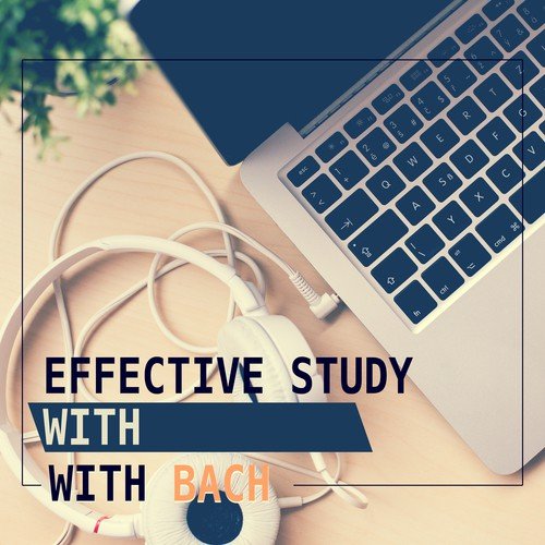 Study Skills Collective