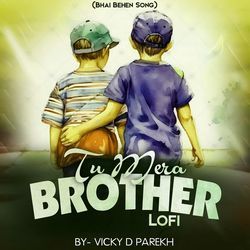 Tu Mera Brother LoFi (Bhai Behen Song)