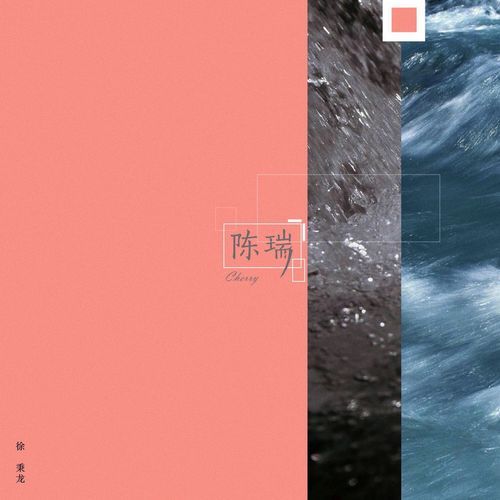 陈瑞 (伴奏) cover art
