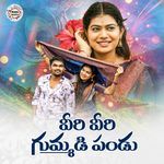 Veri Veri Gummadipanduve