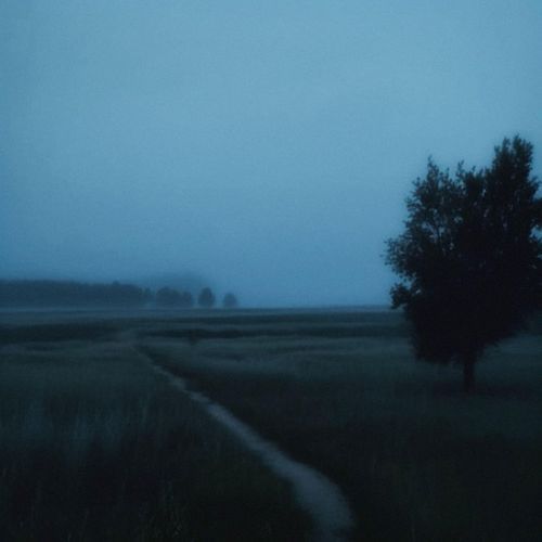 i keep writing letters i'll never send