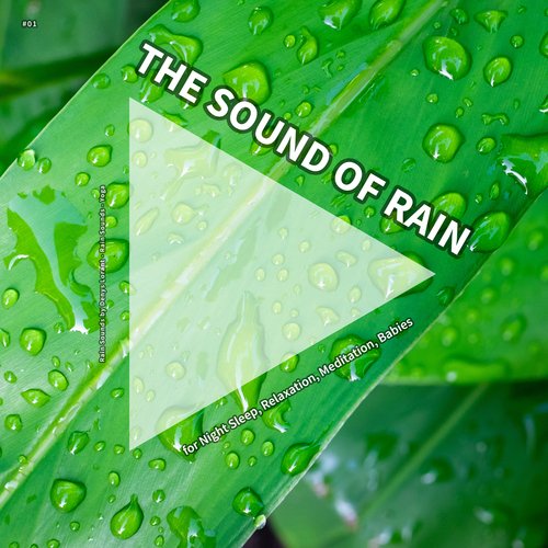 Rain Sounds to Fall Asleep cover art