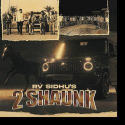 2 Shaunk-CgNaUyFUQWc