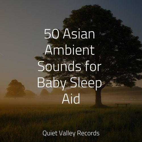 50 Asian Ambient Sounds for Baby Sleep Aid