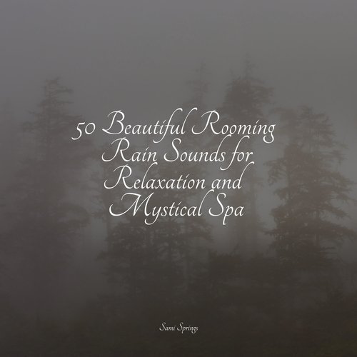 50 Beautiful Rooming Rain Sounds for Relaxation and Mystical Spa_poster_image