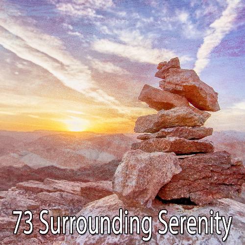 73 Surrounding Serenity