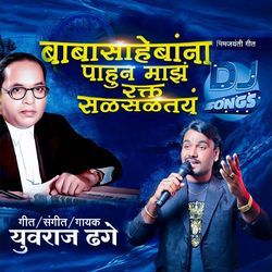 Babasahebanna Pahun Maz Rakt Salsaltay