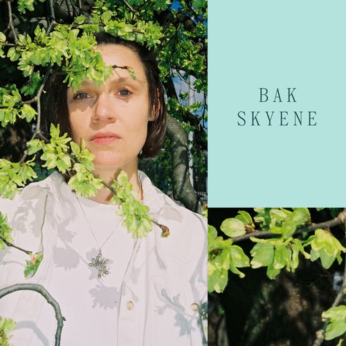 Bak skyene cover art