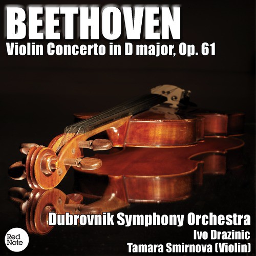 Dubrovnik Symphony Orchestra