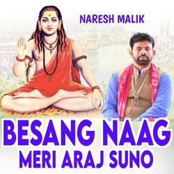 Besang Naag Meri Araj Suno