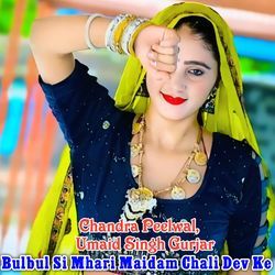 Bulbul Si Mhari Maidam Chali Dev Ke-ASYmbh12cEs