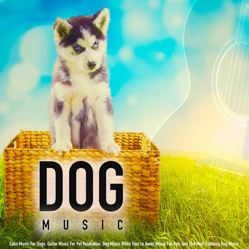 Dog Music cover art
