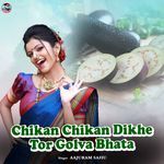 Chikan Chikan Dikhe Tor Golva Bhata
