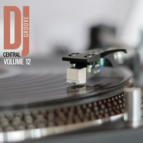 DJ Central - Groove, Vol. 12