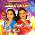 Tere Waade Te Gi