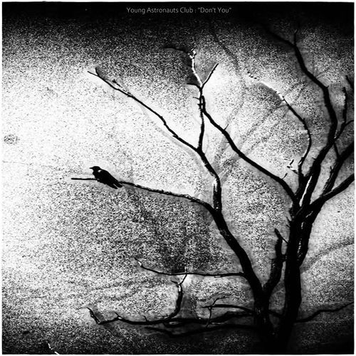 Stare At The Ceiling