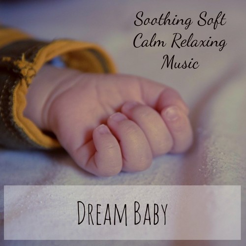 Hang Drum Lullaby Song Download From Dream Baby Soothing Soft Calm Relaxing Music For Good Sleep Silent Night Blue Room With Nature Instrumental Healing Sounds Jiosaavn