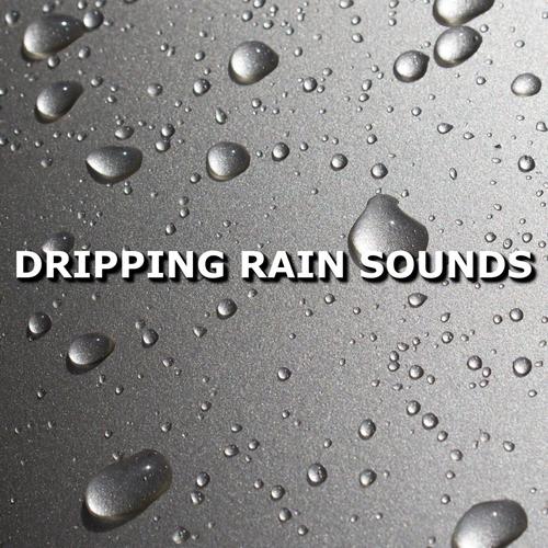 Dripping Rain Sounds