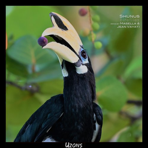 Fireflies (Masella Remix) cover art