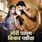 Gori Patla Kikar Padiya