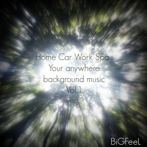 Home Car Work Spa: Your Anywhere Background Music, Vol. 1