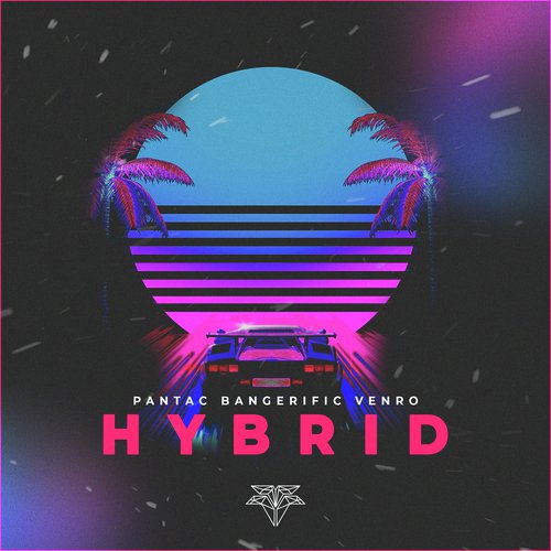 Hybrid_poster_image