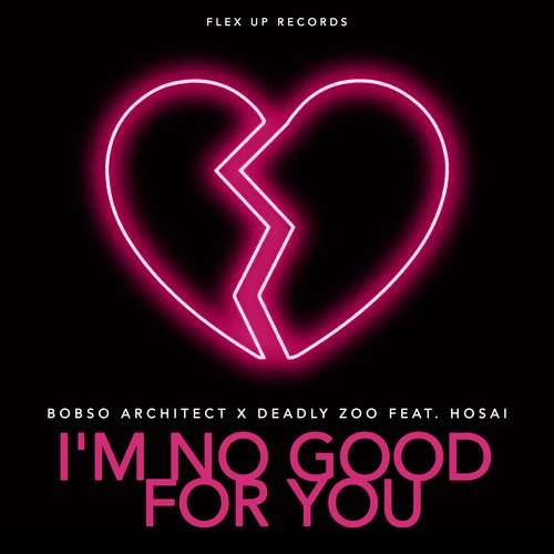 I&#039;m No Good For You_poster_image