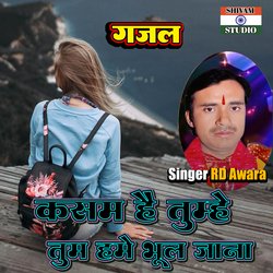 Kasam Hai Tumhe Tum Hame Bhul Jana