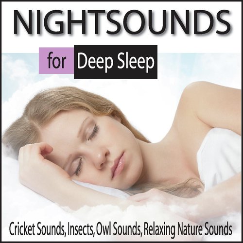 Zen Balancing With Nightsounds cover art