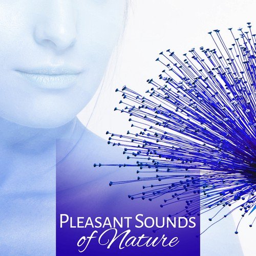 Pleasant Sounds of Nature – Spa Dreams, Deep Sleep, Stress Relief, Spa Music, Relaxation Wellness, Sensual Massage, Birds Songs