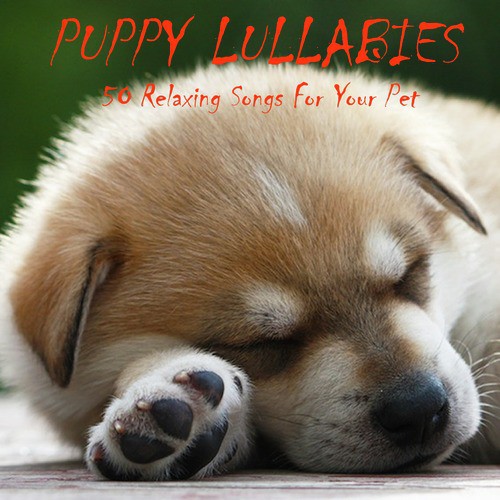 Puppy Lullabies: 50 Relaxing Songs for Your Pet