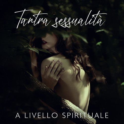 Meditazione dinamica cover art