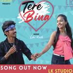 Tere Bina