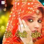 Tere Jaisi Aur artwork