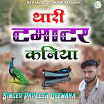 Thari Tamater Kaniya